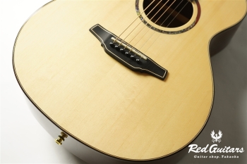 S-20GS